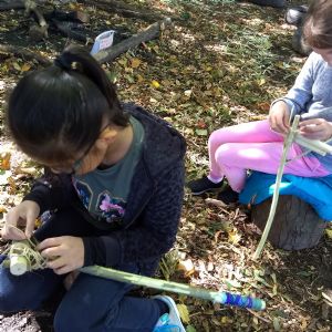 Forest schools 6